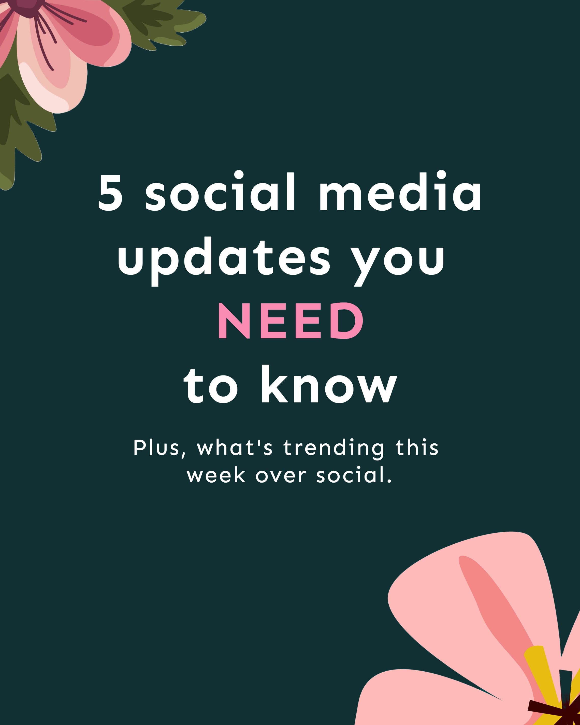 Social Media Updates